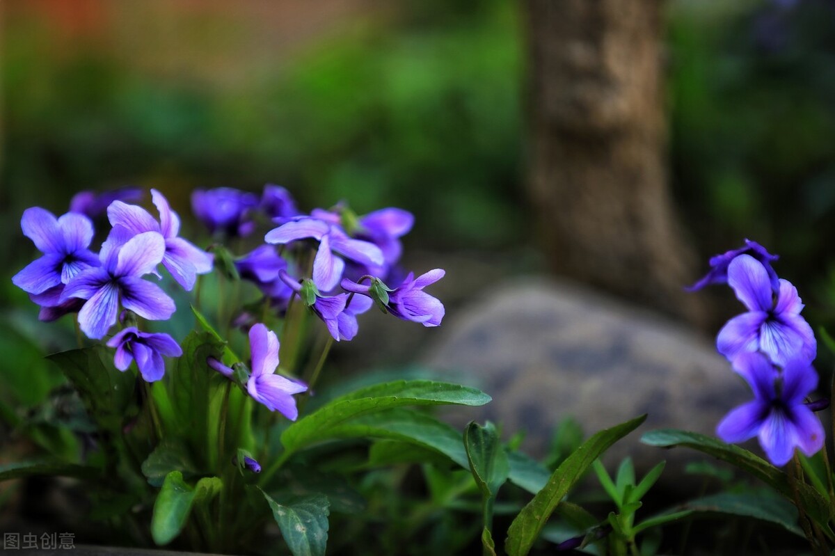 如果你在野外遇见动物,假如你在野外遇到野生动物