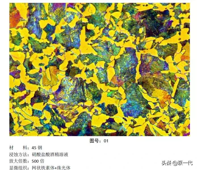 马氏体、奥氏体、珠光体，20种材料彩色金相，带你轻松识别