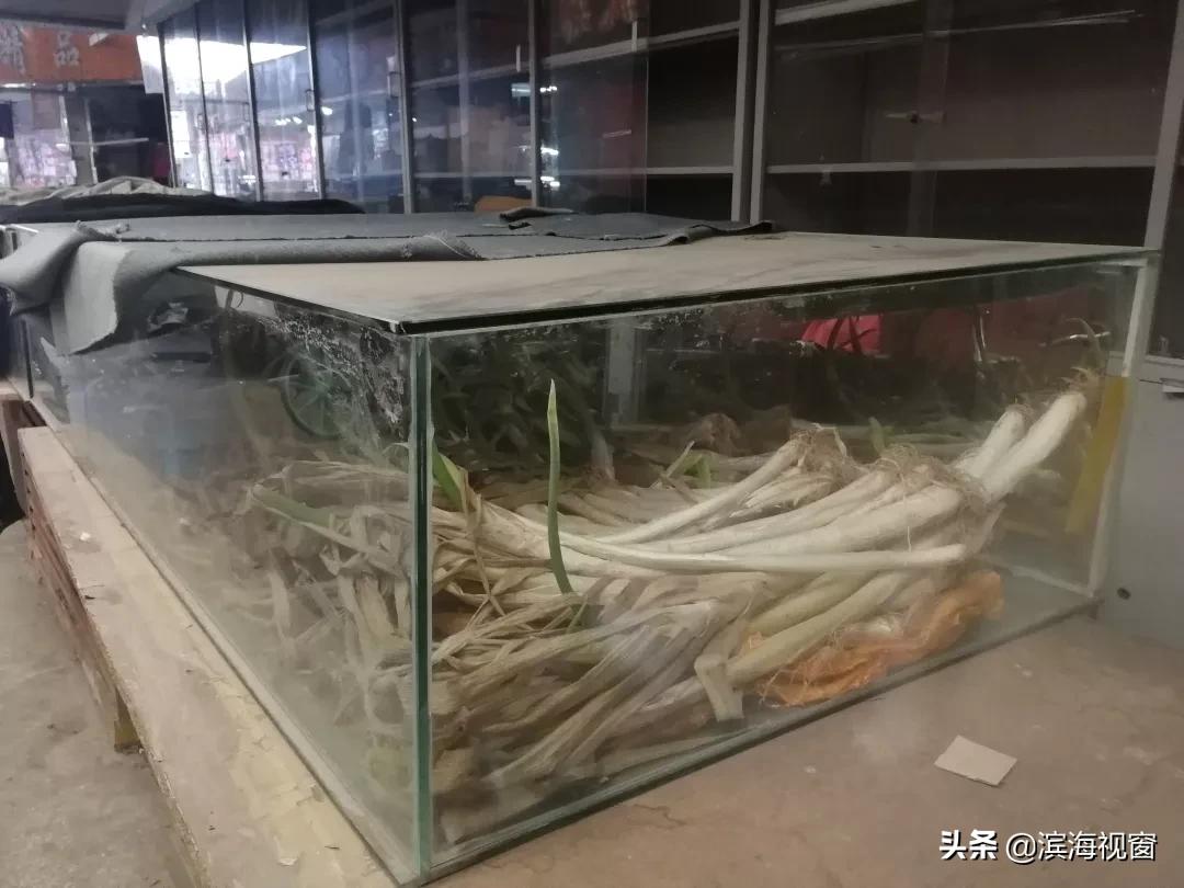 洋货市场不拆迁了是吗,洋货市场最新信息