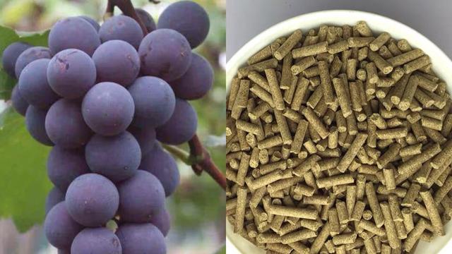 黑坑最好的解决办法,黑坑肥水塘钓鱼技巧