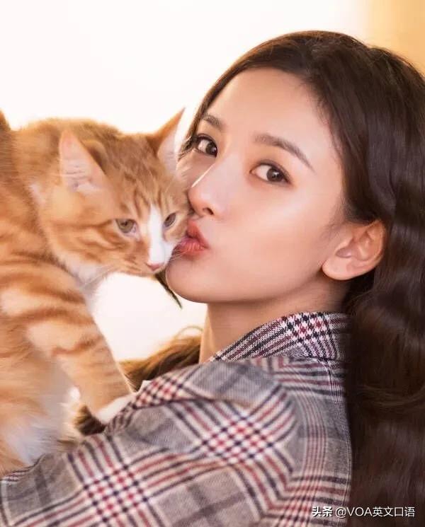 小姐姐的英文是什么,小姐姐英语翻译怎么说