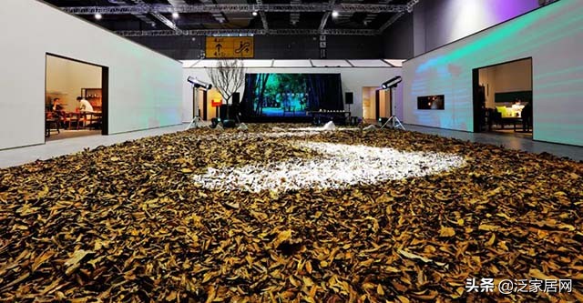 落叶为相重生为实谁是璞睿十年要等的人？