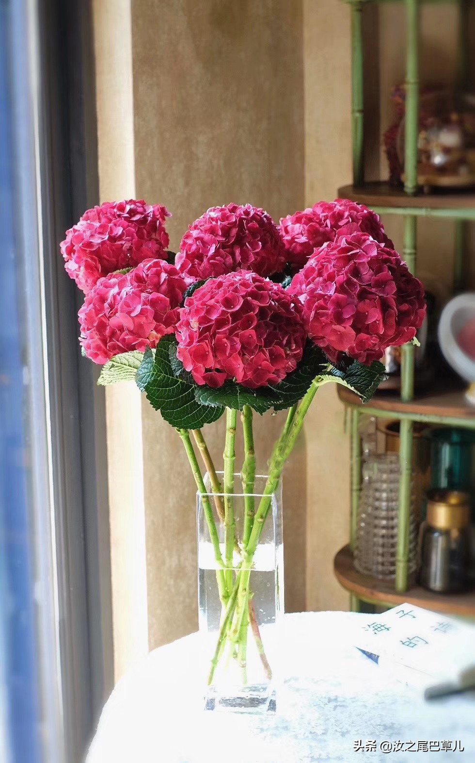 鲜花蔫了注意事项,买的鲜花有点蔫怎么养