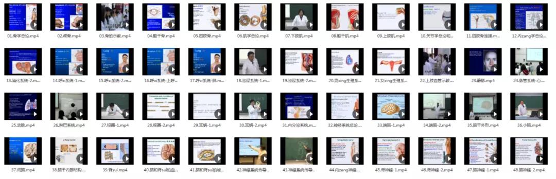 210G解剖学视频，包含系统、断层、运动、人体和局部解剖学