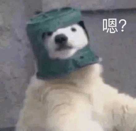 适合初学者的英语学习网站推荐,分享十个免费英语学习网站