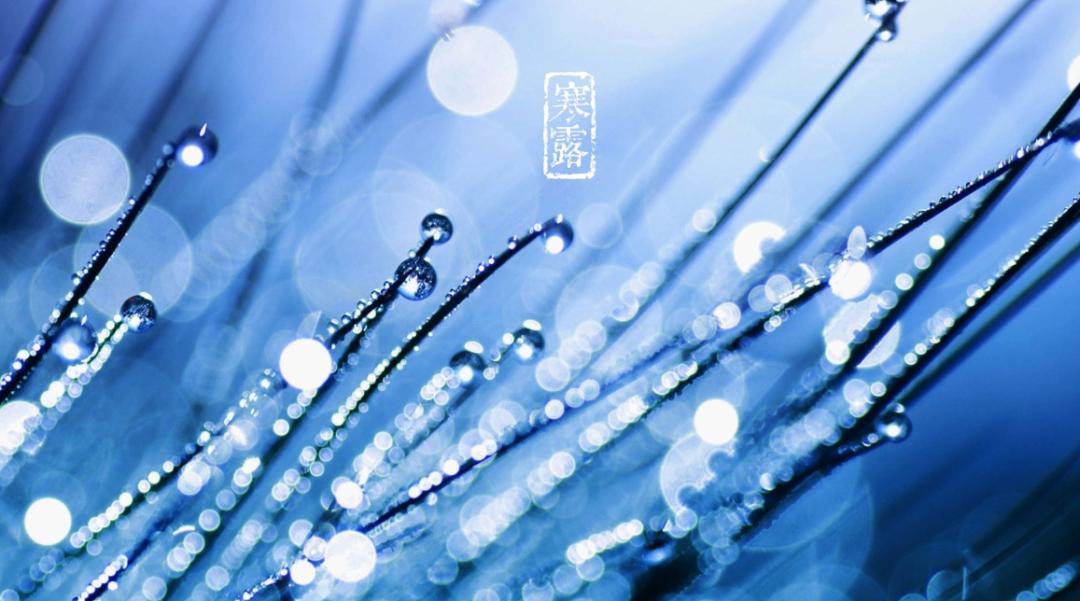 「诗词鉴赏」秋深寒露候，古诗词里的寒露，静看秋意渐浓