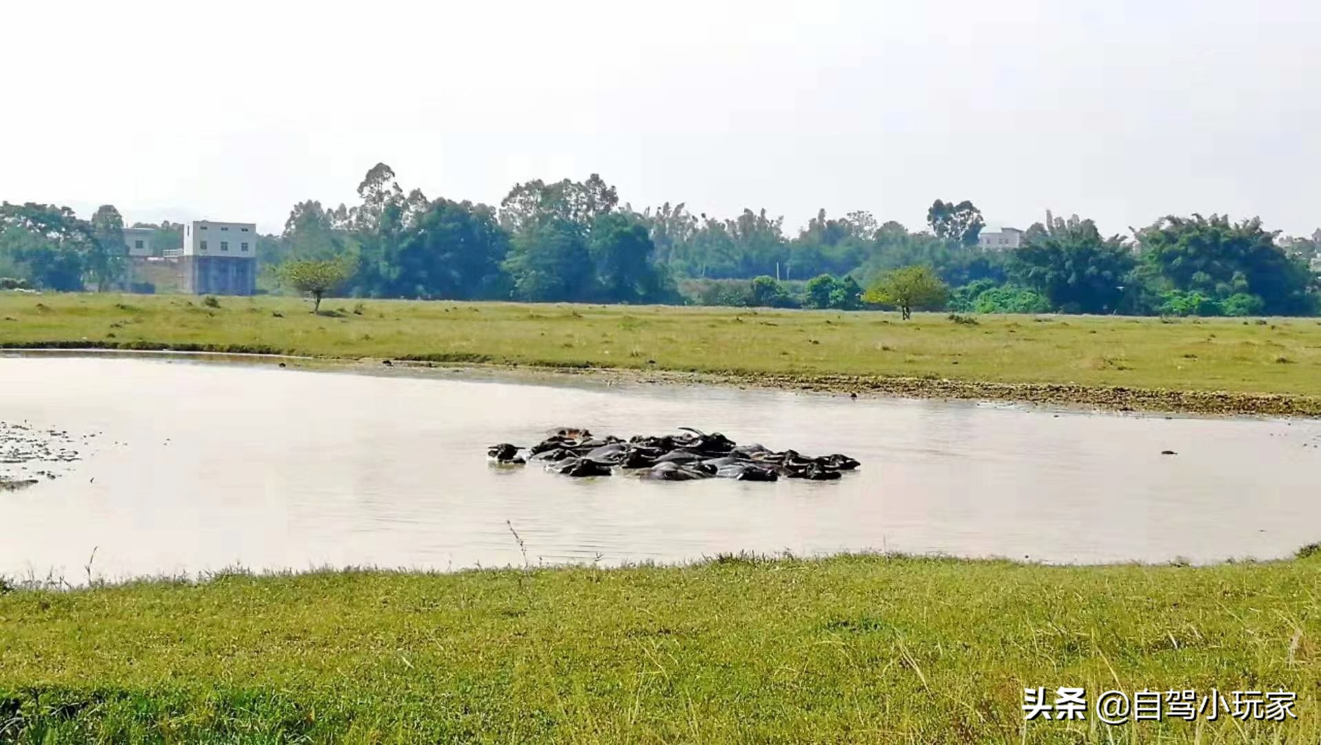 离深圳最近的野营地,深圳周边露营草原景点攻略