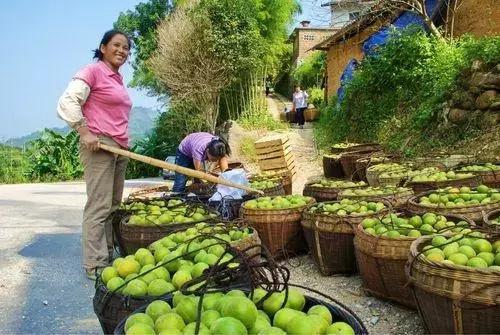 一群农民包下北京人民大会堂，只为向国人推介这种土特产……