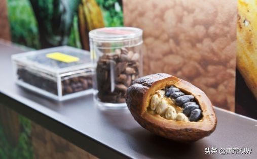 除了樱花还有温泉,去日本的温泉小镇旅游