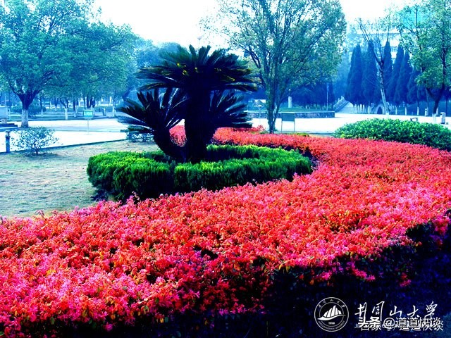 井冈山大学，名字够响亮，实力如何呢？