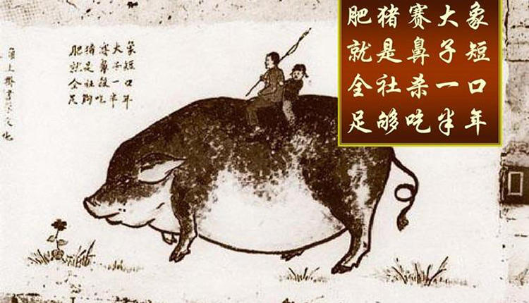 现在的车续航为啥这么猛,为什么你的车续航这么低