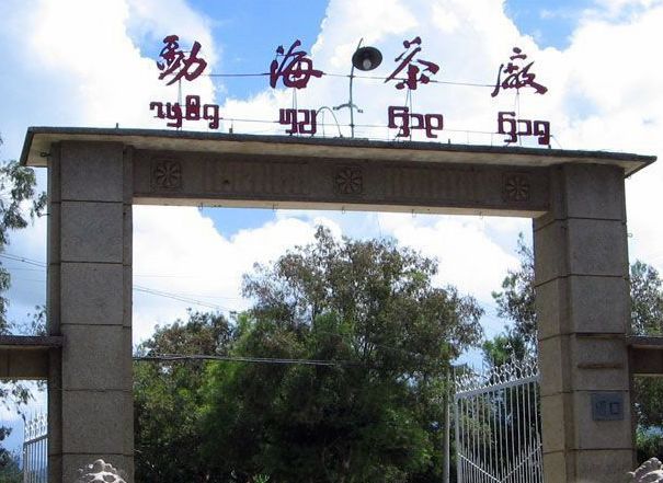 七子饼茶的历史背景,中茶牌七子茶饼铁饼