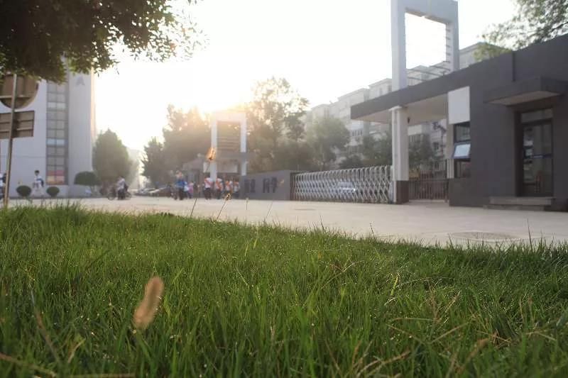 天津市第十四中学在天津排名,天津市高级中学排名一览表