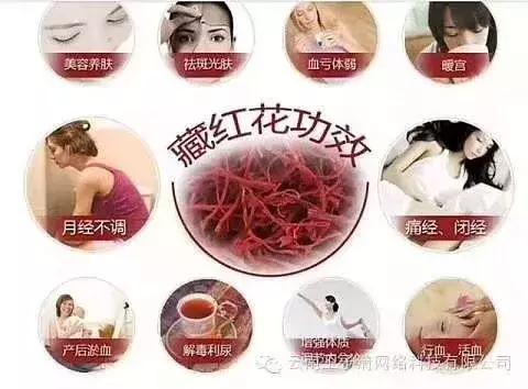 环球旅行我学会了什么,环球旅行一年