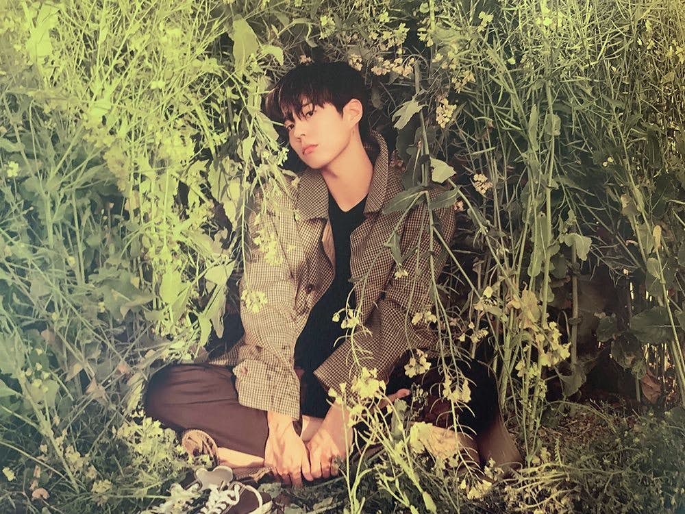 朴宝剑白t恤写真,朴宝剑26岁的照片