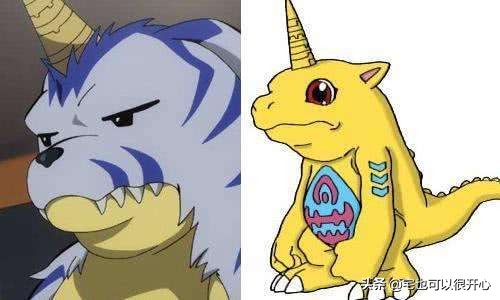 数码宝贝每一个代表什么含义,数码宝贝各个代表着什么