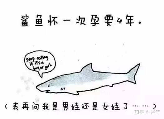 想象中不一样的动物冷知识,悲伤的动物视频