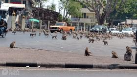 国外的月亮有多可怕,外国的月亮是不是比较大