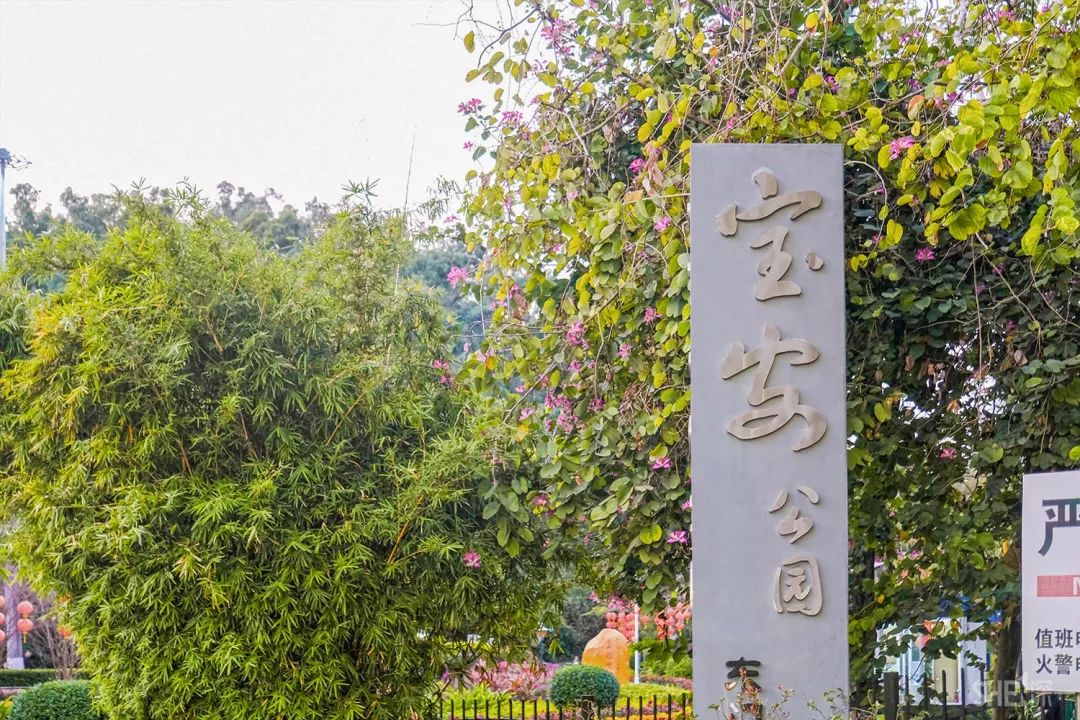 住在深圳宝安,住在宝安西乡