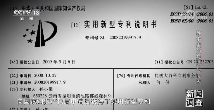 社会与法孙小果,社会评论孙小果