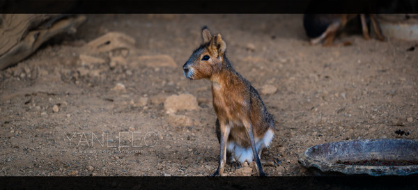 泰旅局发布2019年泰国旅游新玩法,曼谷漫游攻略