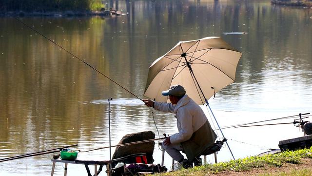 调五钓二和调四钓二哪个灵,调四钓二调漂技巧视频教程
