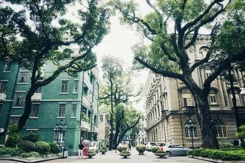 广州小岛旅游,广州周边小岛游