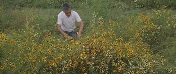 最会说情话的人全集,最会说情话的人
