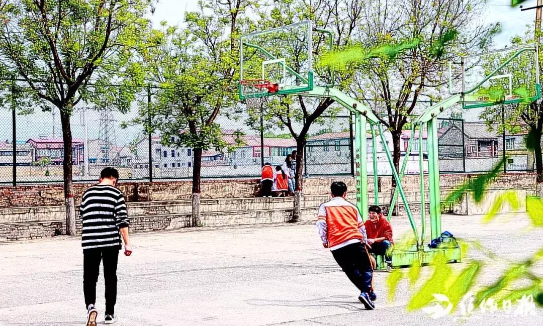 焦作市第四中学龙翔校区,焦作市第四中学哪个区