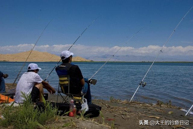 被称“孝鱼”，却是“虎毒食子”！分享4招，擒获水中霸主