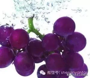 高档水果有哪些进口,高档水果和普通水果区别