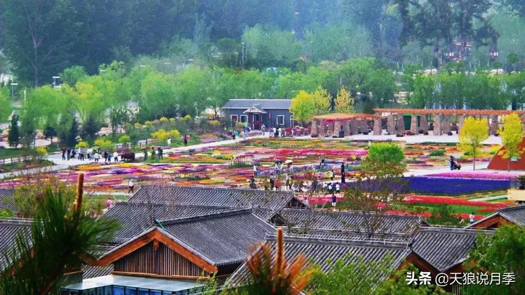 有人去过世园会吗,去过世园会好不好玩