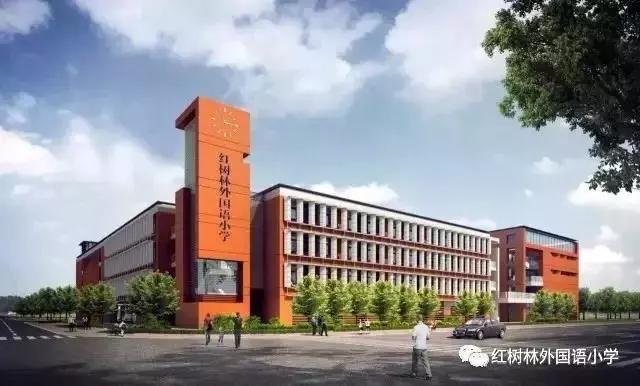 深圳积分小学宝安,宝安私立学校积分最新排名