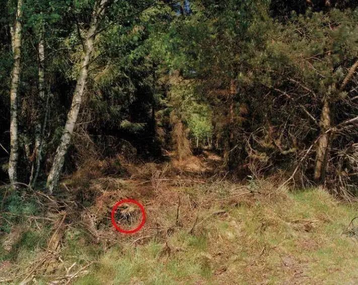 外国人穿吉利服,英国男子穿吉利服