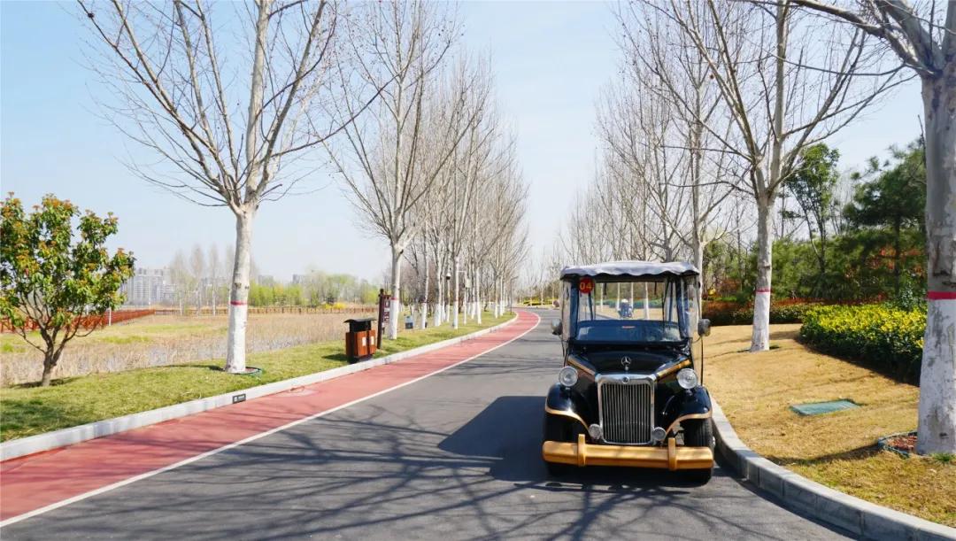 郑州免费游玩公园推荐,郑州新公园开放了吗