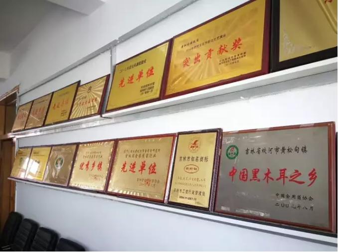 吉林省蛟河市黄松甸镇黑木耳,吉林省黄松甸是黑木耳的著名产地