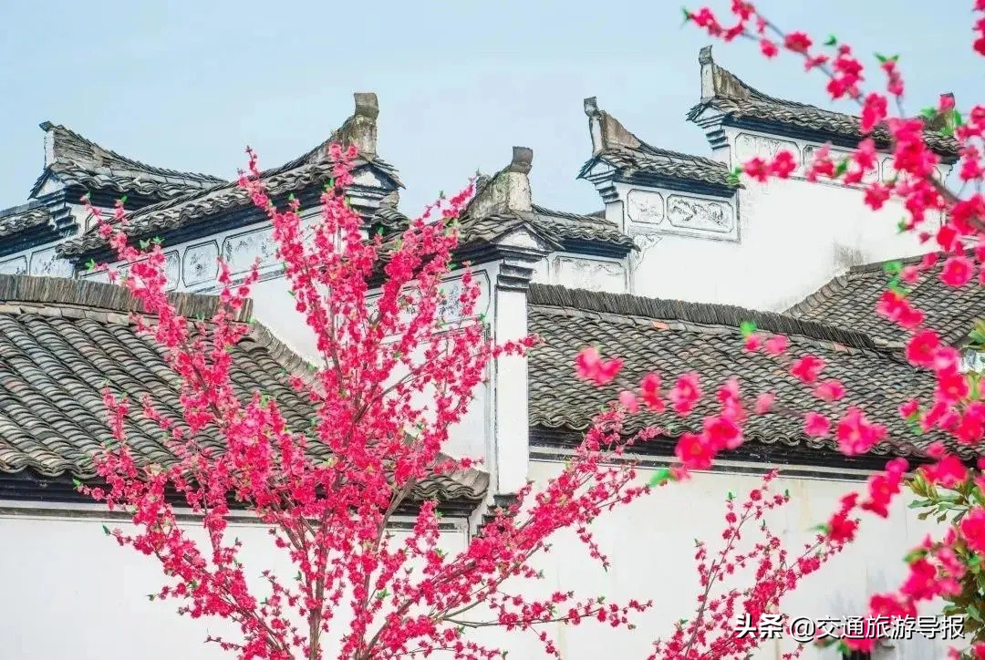 狂撒1.3亿！金华人“青葱价”游金华，十大景点联票10元购！