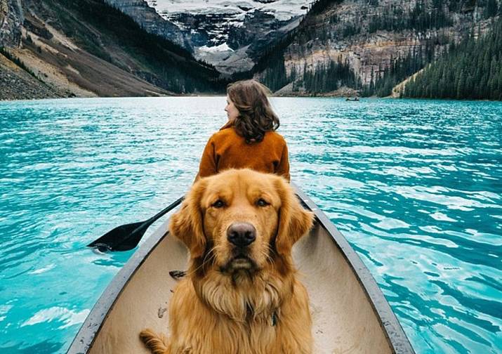 养狗前后父母的变化,父母养狗前后变化