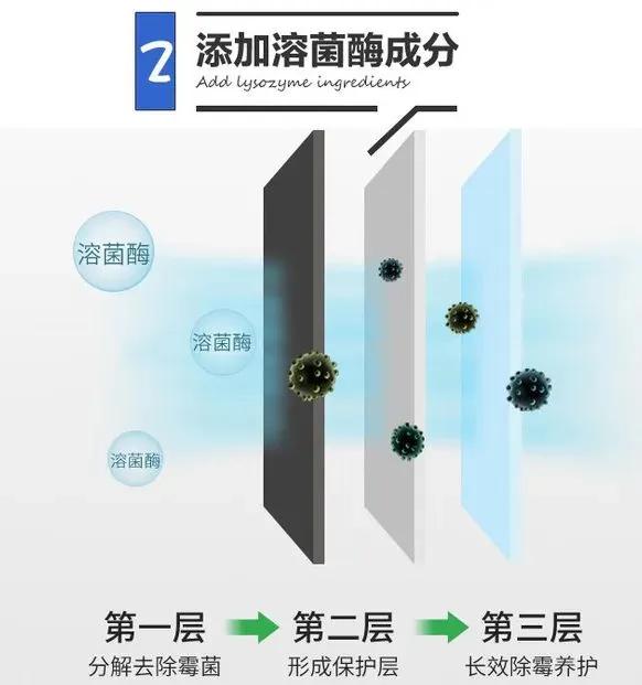 墙壁发霉用什么除霉,家里墙发霉掉皮怎么办