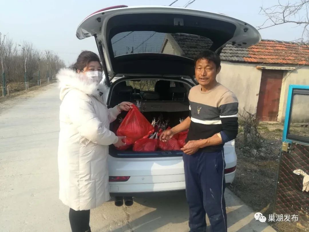 烔炀养鸡贫困户遇“坎”，爱心接力温暖巢城