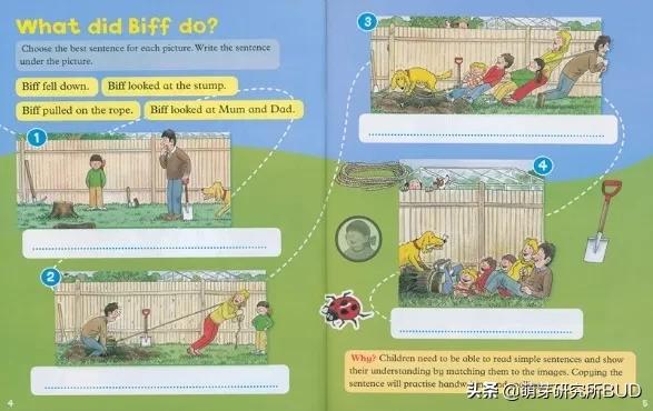 课改后自然拼读重要性,自然拼读重要性的图片