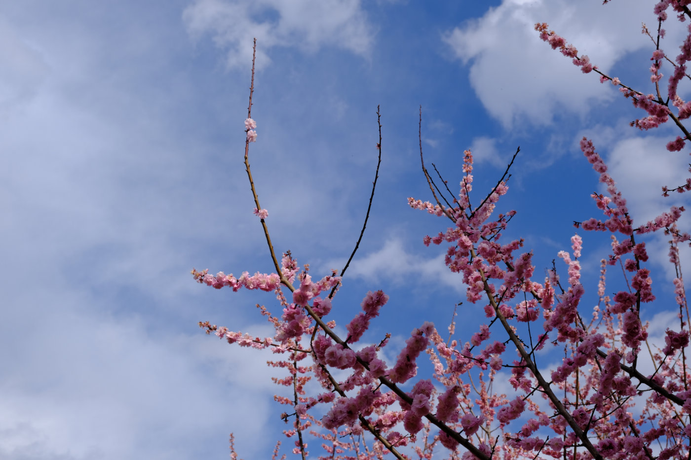 富士XT30+18-55套机开箱、使用初体验