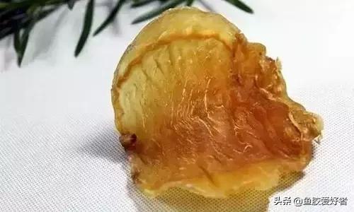 花胶涨发的正确方法,花胶的种类及区别