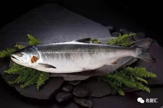 世界顶级十大海鲜,十大顶级海鲜价格排行榜