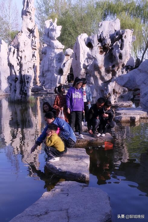 樱花王国樱花节,樱花盛开节
