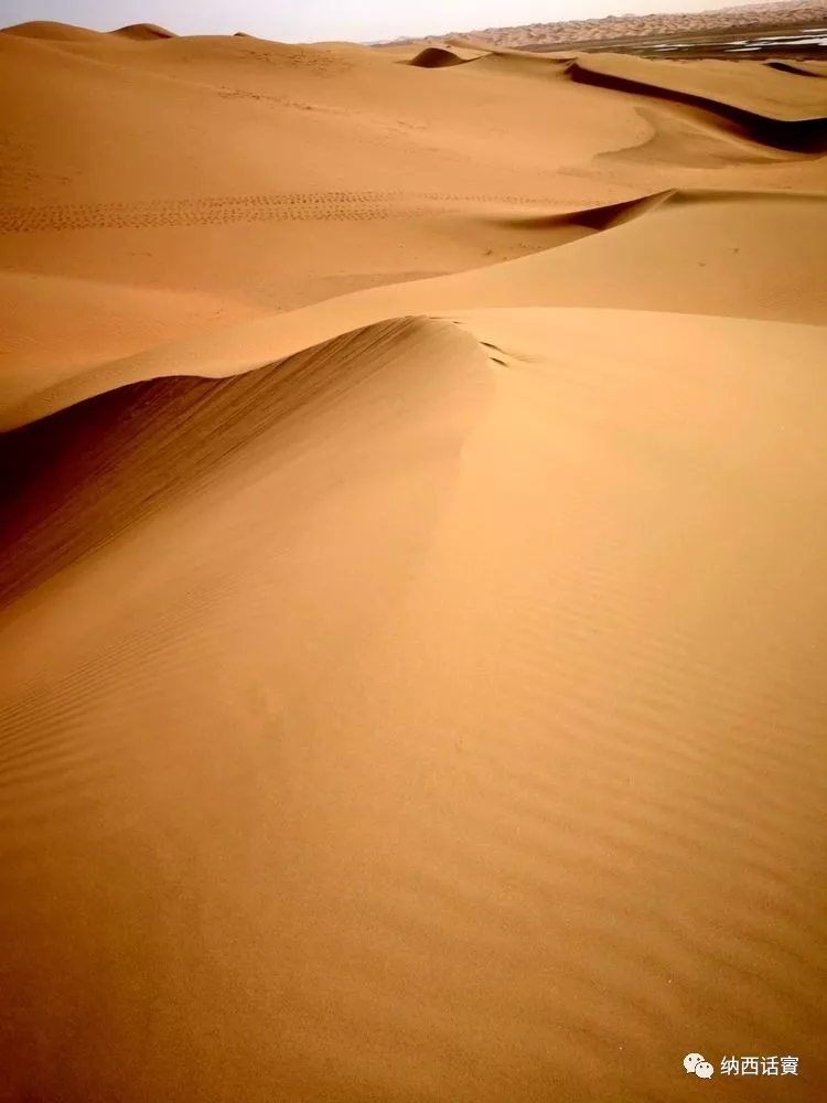 叶紫被雷劈穿越到异界,关于叶紫的穿越小说