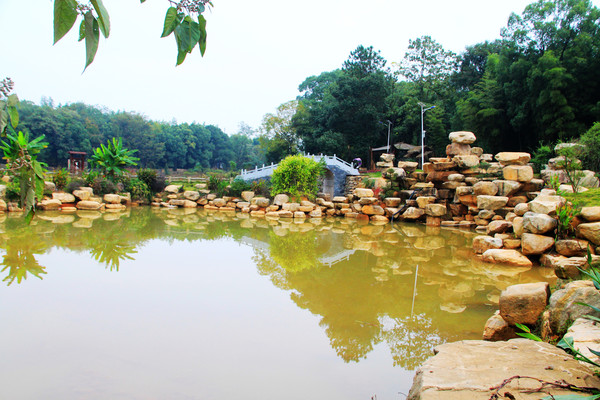 鄱湖之秋,鄱湖之滨信江之畔余干