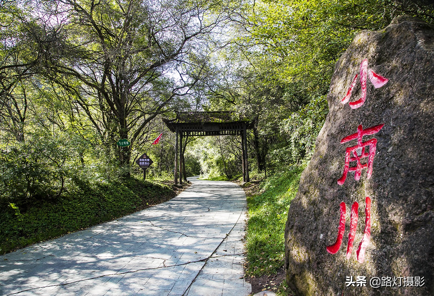 初夏要有十分美，宁夏固原占九分，你同意吗？