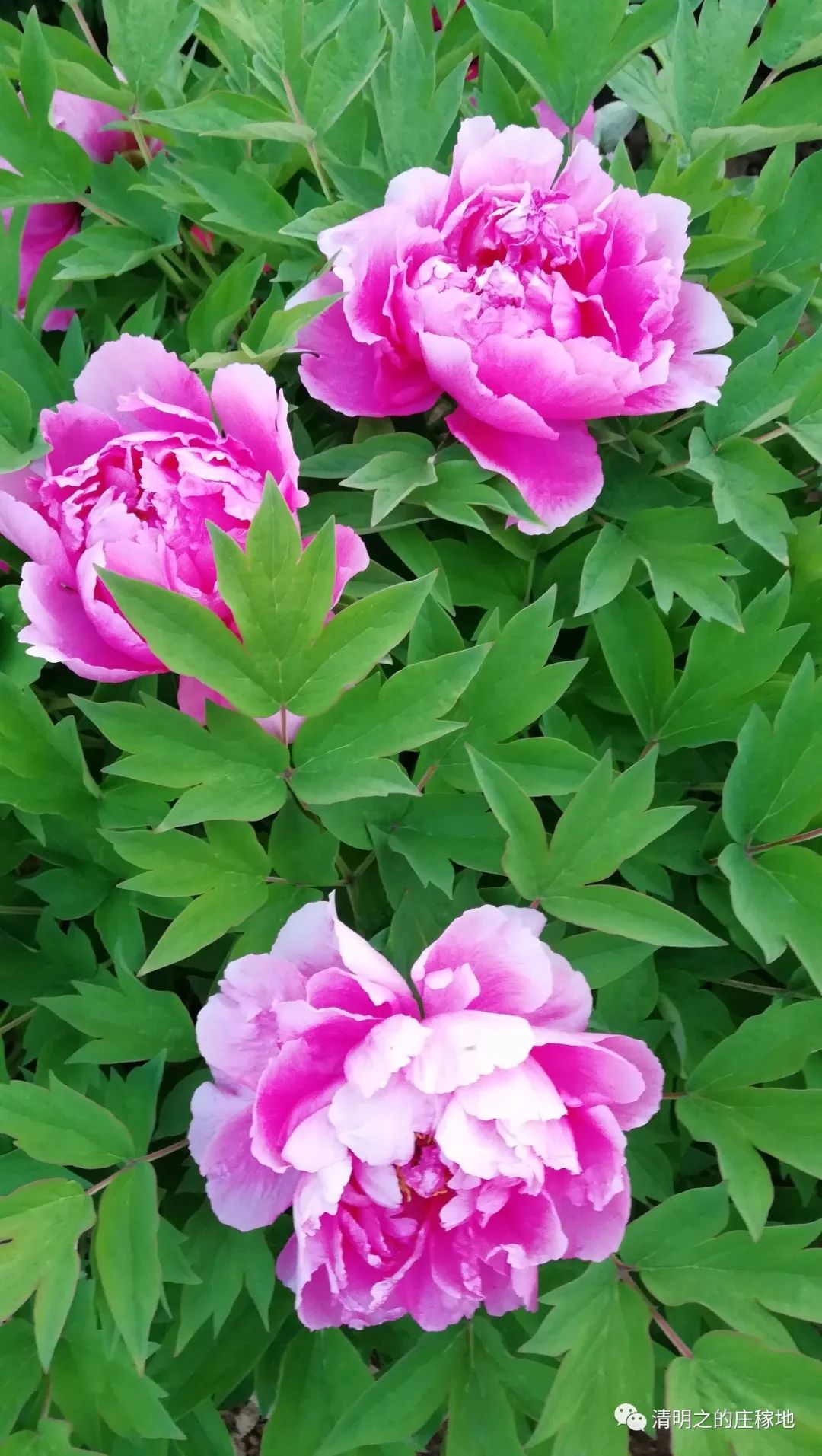 2020年最好的礼物是什么,2020年最好的新年礼物