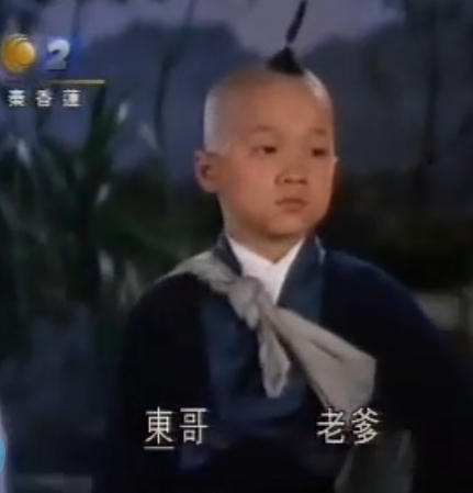 释小龙演笑林小子多大,释小龙林志颖合作了哪些电影